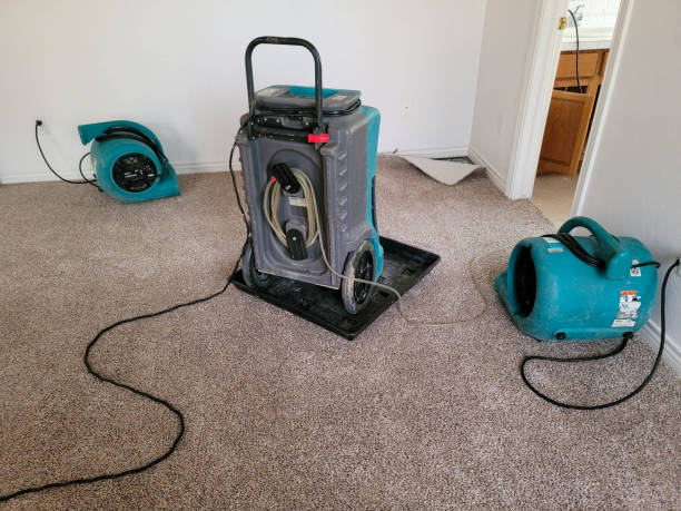 Horseshoe Bay, TX Water damage restoration Pros