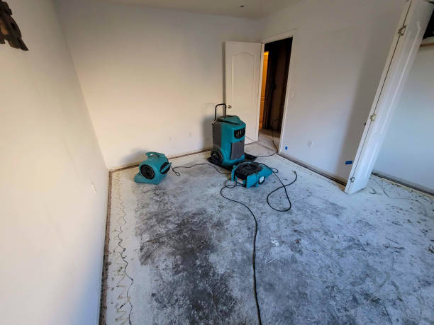 Horseshoe Bay, TX Water damage restoration Company