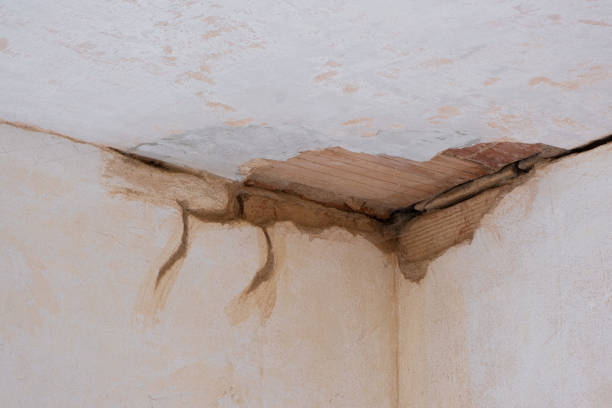 Best Local water damage restoration  in Horseshoe Bay, TX