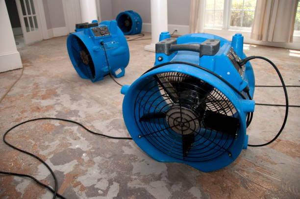 Reliable Horseshoe Bay, TX Water damage restoration Solutions