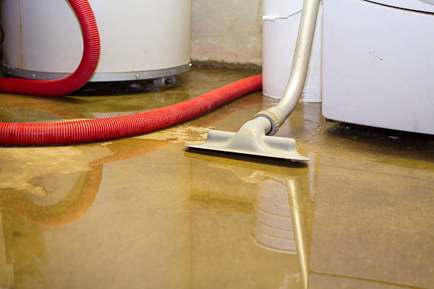 Best 24-hour water damage restoration  in Horseshoe Bay, TX