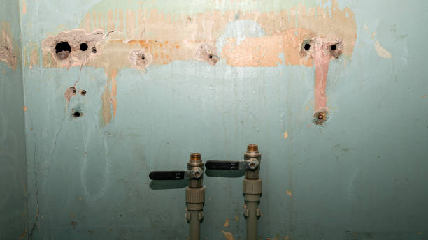 Best Mold removal after water damage  in Horseshoe Bay, TX